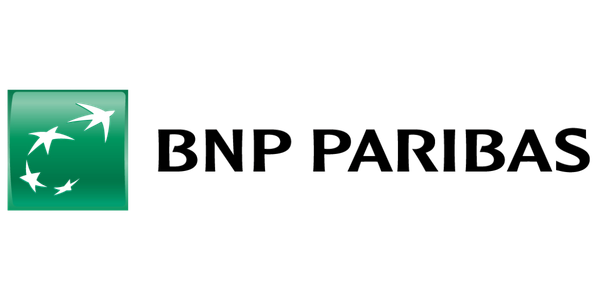 BNP 600 x 300-1